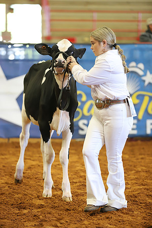 East Texas State Fair - Dairy Show-337