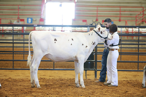 East Texas State Fair - Dairy Show-039