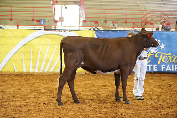 East Texas State Fair - Dairy Show-203