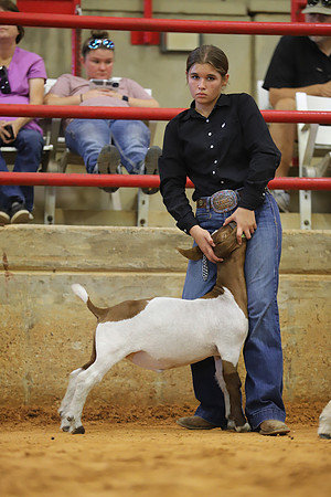 East Texas State Fair - Goat Show-097