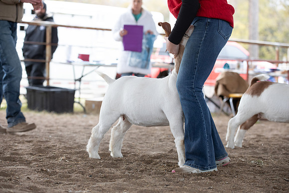 KHC-036