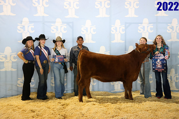 Lot 12