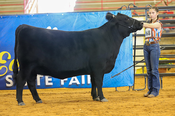 EastTexasStateFair-BritishHeiferShowmanship-09