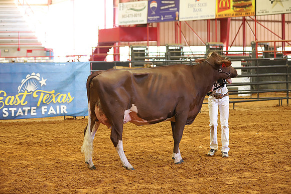 East Texas State Fair - Dairy Show-191