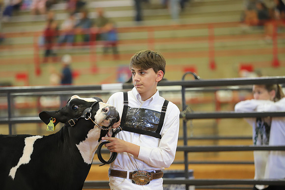 East Texas State Fair - Dairy Show-026