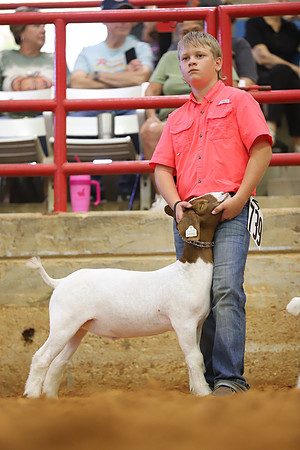 East Texas State Fair - Goat Showmanship-007