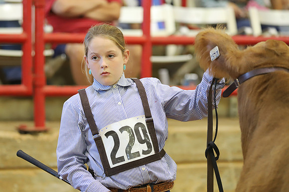 East Texas State Fair - Steer Show-070