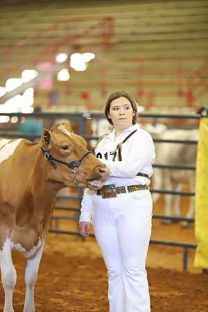 East Texas State Fair - Dairy Show-405
