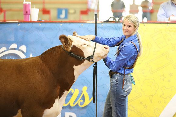 East Texas State Fair - Steer Show-092