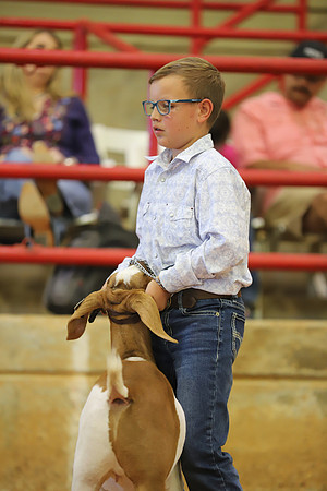 East Texas State Fair - Goat Show-033