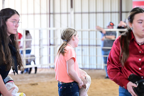 HNP_9538