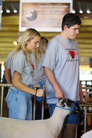 SJCFR_SpecialHearts-198