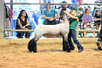 TLL_2271