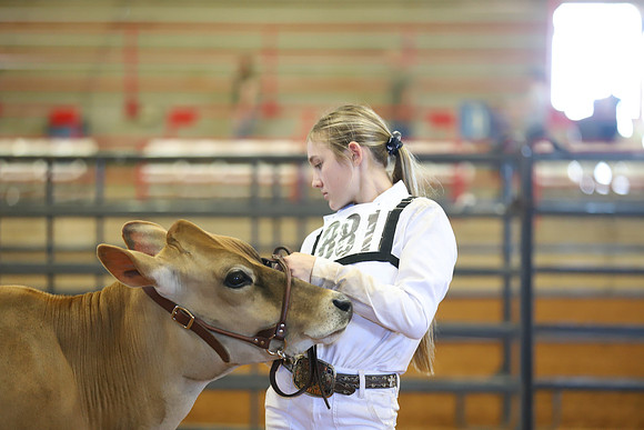 East Texas State Fair - Dairy Show-076