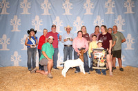SJC-081