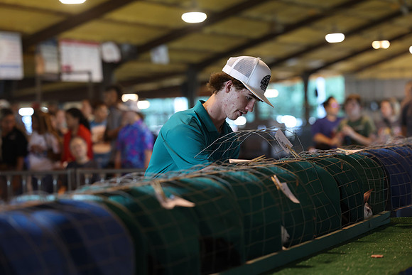 2L6A5643