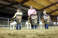 San Jacinto County- Goat Show Ringshots