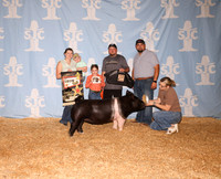 SJC-135