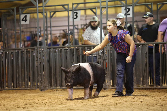 2L6A6303