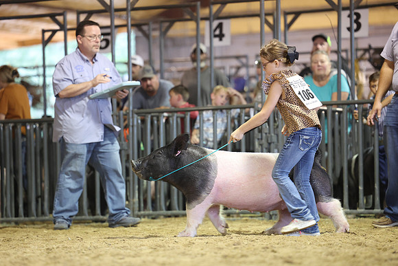 2L6A6037