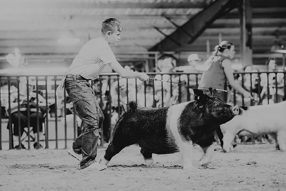 SJC-197