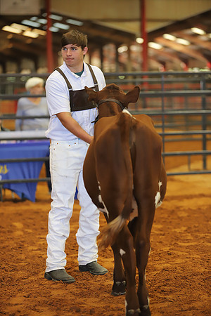 East Texas State Fair - Dairy Show-268