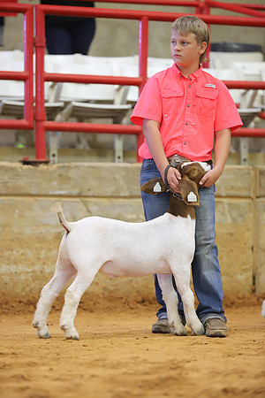 East Texas State Fair - Goat Show-071