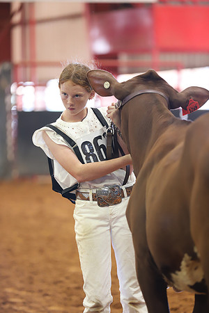 East Texas State Fair - Dairy Show-254