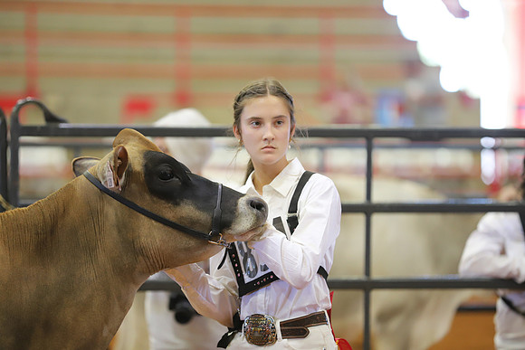 East Texas State Fair - Dairy Show-051