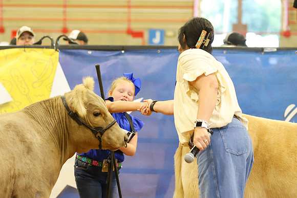 East Texas State Fair - Steer Show-023
