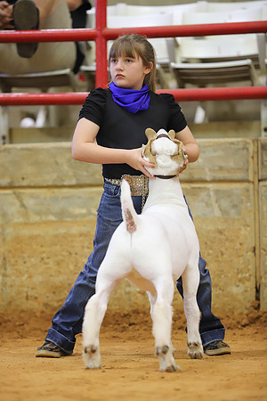 East Texas State Fair - Goat Show-051