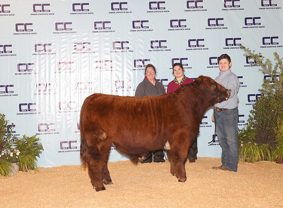 Cattle Backdrop 17