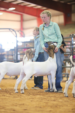 East Texas State Fair - Goat Show-035
