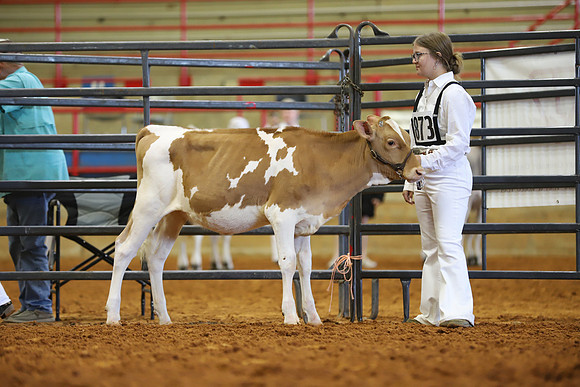 East Texas State Fair - Dairy Show-396
