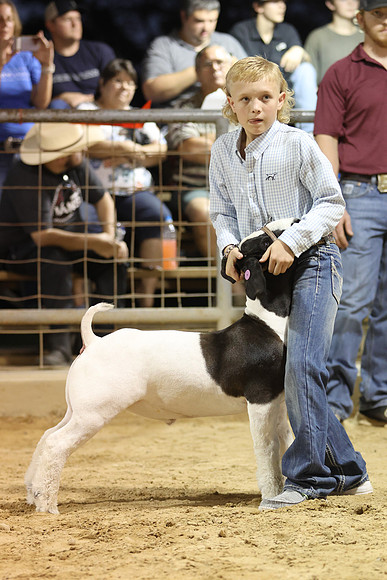 GGR_2010