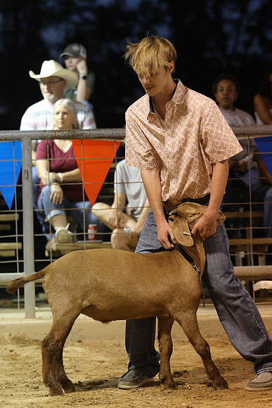 GGR_2009
