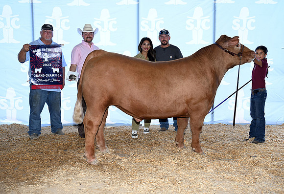 champ steer
