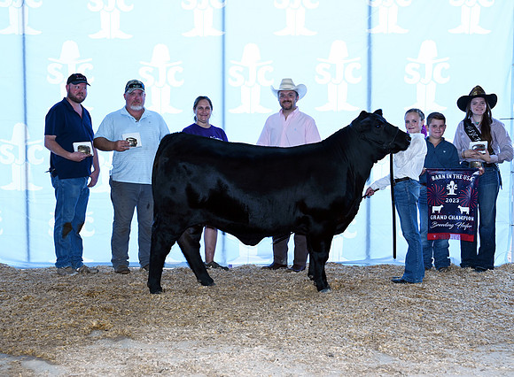 champ heifer