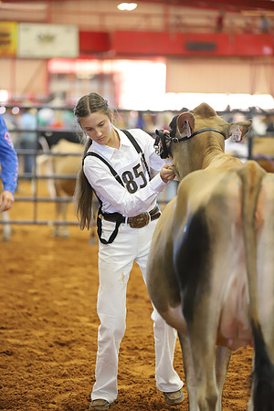 East Texas State Fair - Dairy Show-118