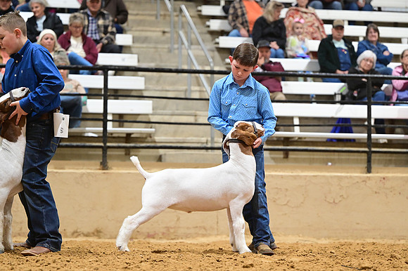 CVW_3736