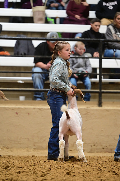CVW_3628
