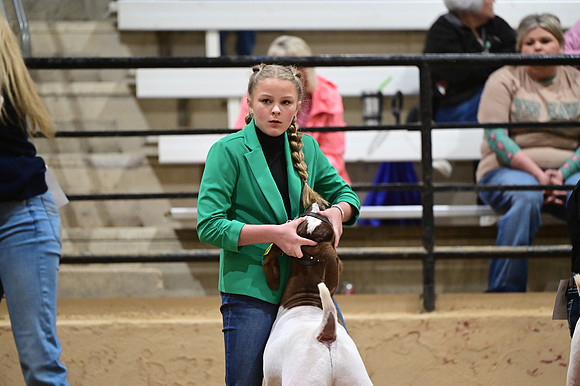 CVW_3619