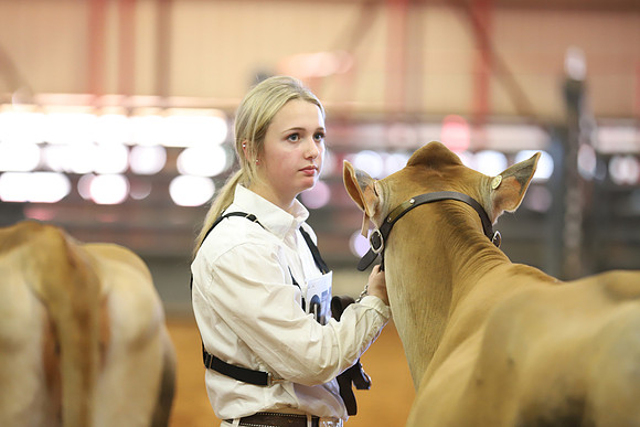 East Texas State Fair - Dairy Show-134