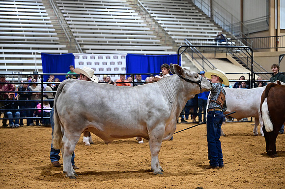 RCM_0347