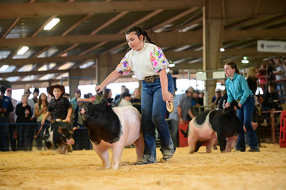 RCM_9238