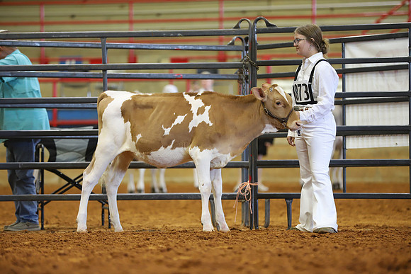 East Texas State Fair - Dairy Show-397