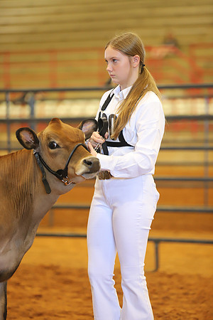 East Texas State Fair - Dairy Show-097
