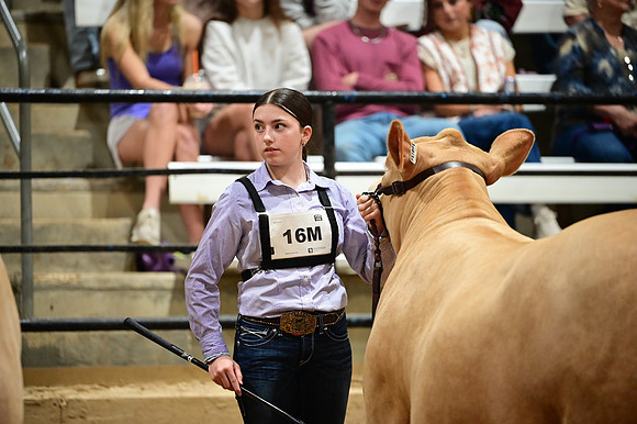 RCM_0196