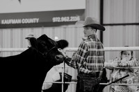 Kaufman Holiday Classic- Steer Show + Showmanship