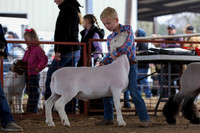KEB_0626